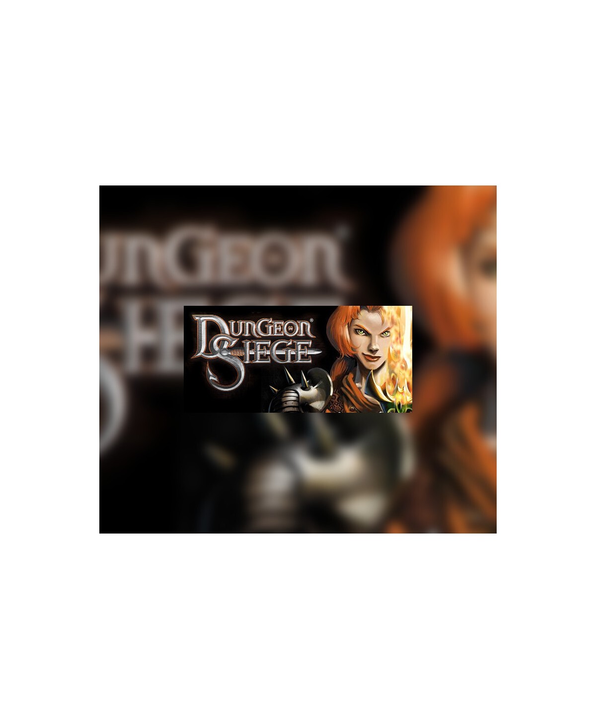 Dungeon Siege Steam Key GLOBAL